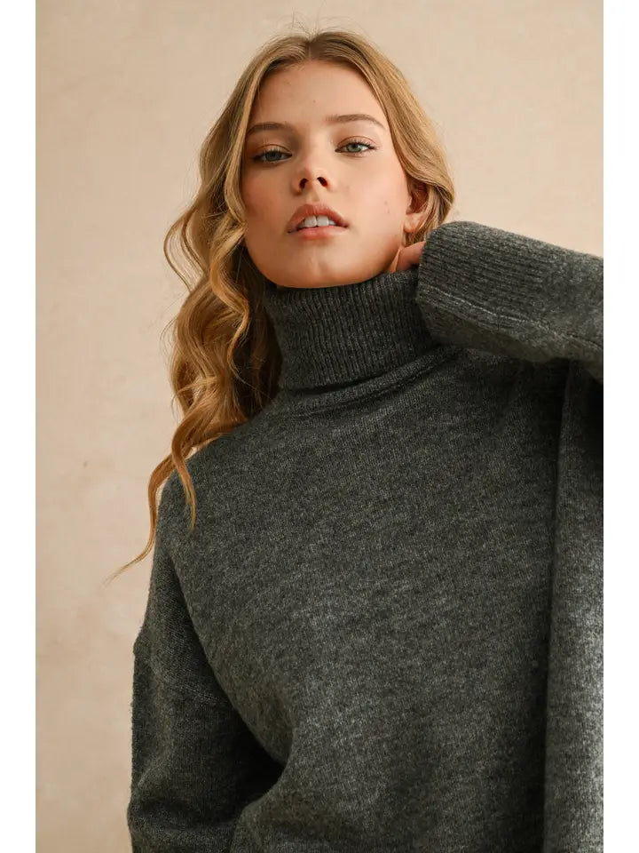 Turtleneck Long Sleeve Sweater Top